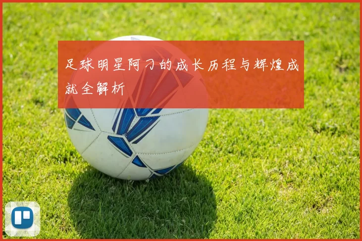 足球明星阿刁的成长历程与辉煌成就全解析